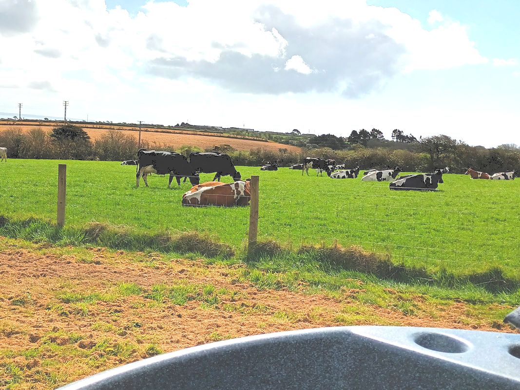 Take a dip in the hot tub and soak in the sight of cows peacefully grazing next door. A tranquil scene to unwind!